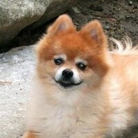 suzanne walker (@suzy814) 's Twitter Profile