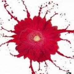 Twitter account for
http://t.co/QlGK7AXai7