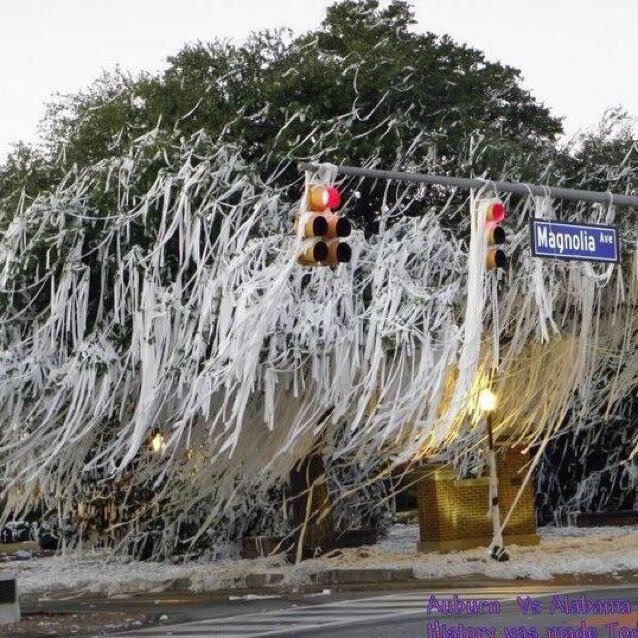 blueeyeshay's profile picture. 