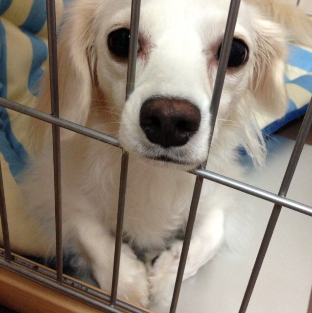 saopai's profile picture. ほぼ愚痴？ 日常用♡