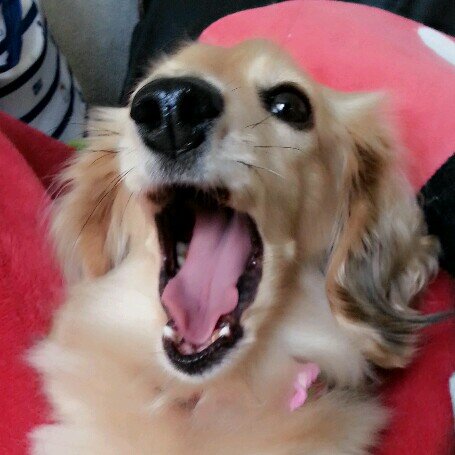 こーちゃん Looooooooooove♡♡