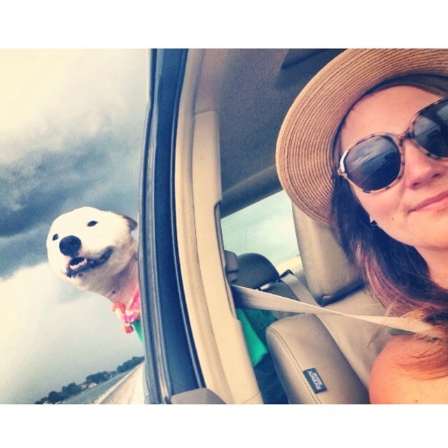 paigedaugherty's profile picture. And I don't remember no cold days, darlin' I remember the warm ones..