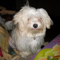 Avid book reader, would like to be a writer, adore my pets