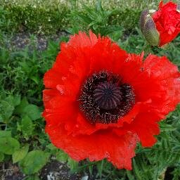 BwaughB's profile picture. 