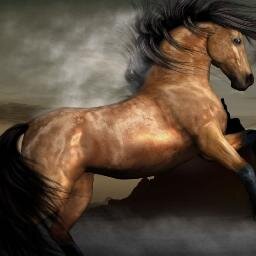 tweetception1's profile picture. işsiz olduğum için yaptım, üsteleme