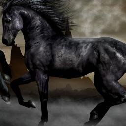 tweetception2's profile picture. işsiz olduğum için yaptım, üsteleme