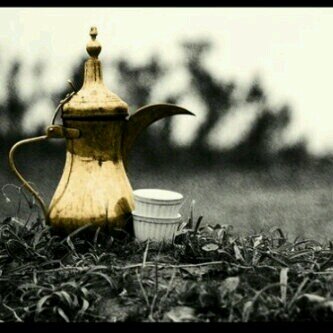 هاوي الشعر العبيط