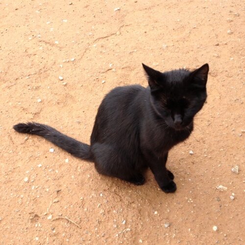 _circulo's profile picture. 