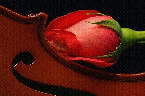 لتواصل بالخاص وسريه تامه