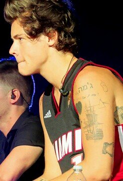 salve sono Harry Styles ||  amami su sono carino e coccoloso
