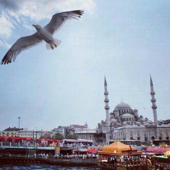 أستغفر الله ، عدد خلقه ، ورضى نفسه ،وزنه عرشه ، ومداد كلماته..