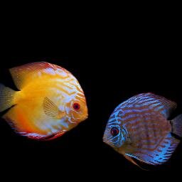 zoi_aueb's profile picture. 