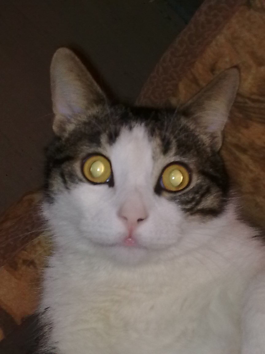 zajcev1965's profile picture. безработный