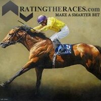 Liam@RatingTheRaces(@RTR_Liam) 's Twitter Profile Photo