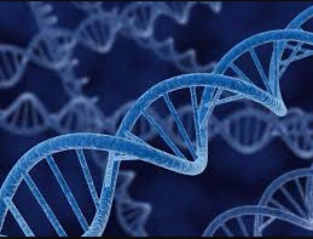 Consultant Molecular Microbiologist at Johns Hopkins Aramco Healthcare, Saudi Arabia. Adjunct Professor at College of Medicine, Alfaisal University, Riyadh