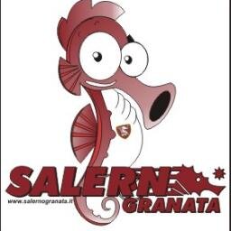 Salernogranata's profile picture. Salernitana News
