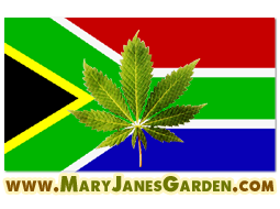 Allowing Stoners to cultivate their enthusiasm for cannabis. Feel free here. 420 forever. Hukana matata Cannabis Enthusiasts South Africa