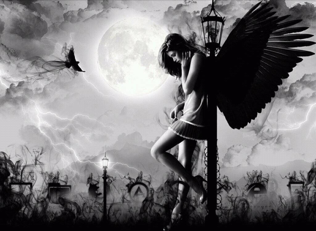 novia_jac14's profile picture. 14november1998 scorpio