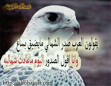 من راح من كيفه كيفه يوديه %خله على كيفه وكيفه يجيبه