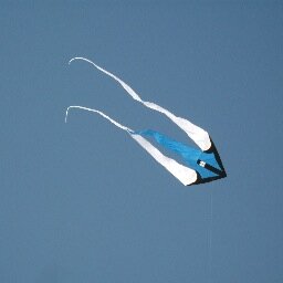 het is de tegenwind die de vlieger doet stijgen.- it is the headwind that raises the kite