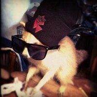matt strachan (@strachan_matt) 's Twitter Profile