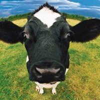 Tim Delaney (@goodmanskitchen) 's Twitter Profile