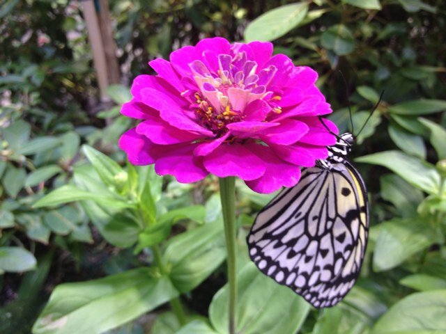 Jillianhajek's profile picture. 