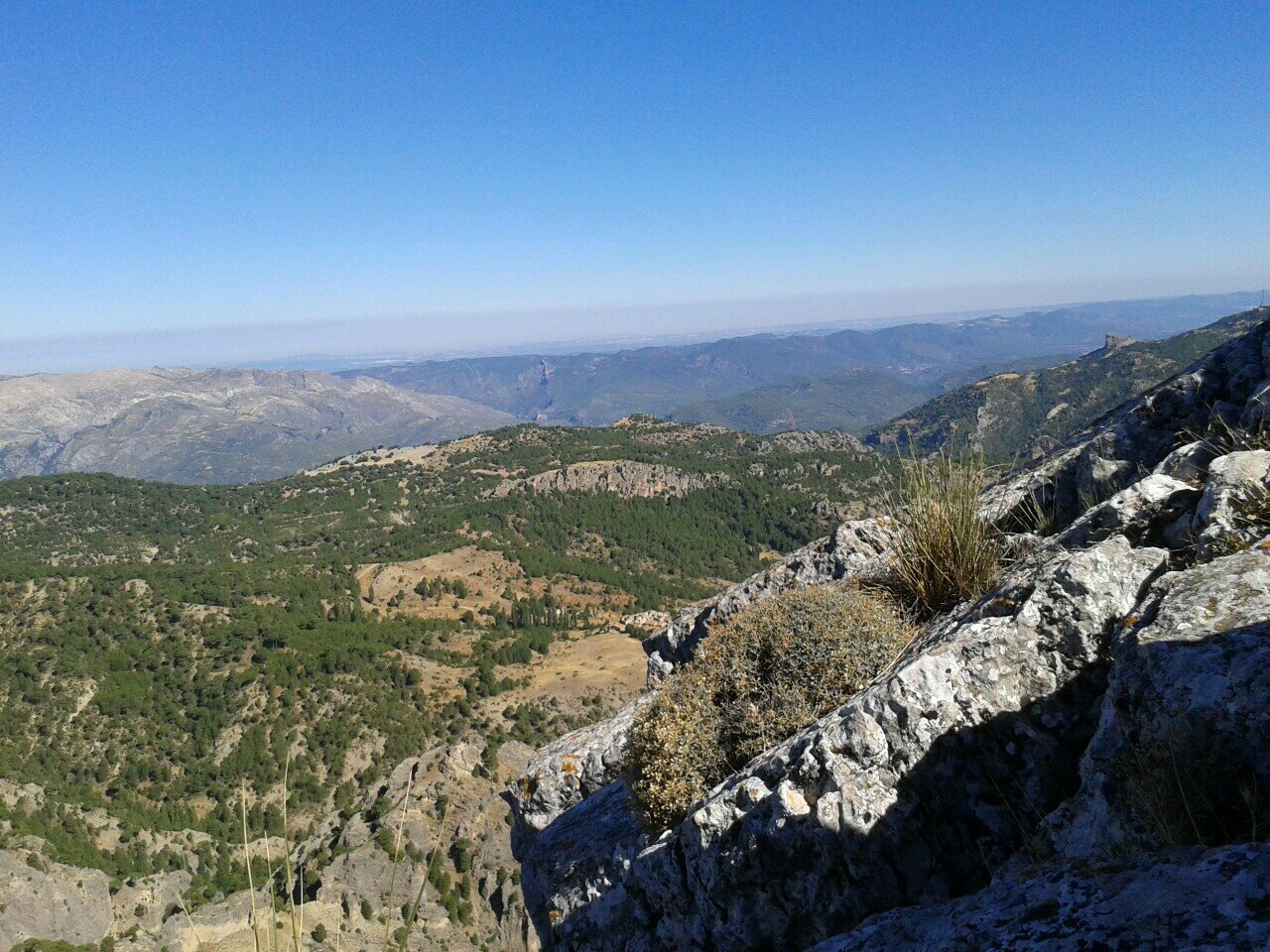 SilviaValero5's profile picture. 