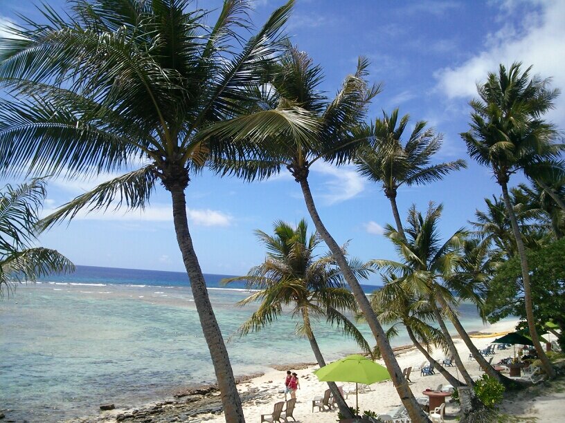 knnmmk117's profile picture. わくわくすたいる。