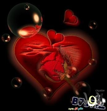 ‏‏♡♡‏وين اروح اااصار الزمن كله جروح♡♡