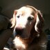 Cathy Stanfield (@cstanfield03) Twitter profile photo