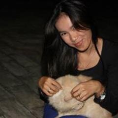 JANGAN FOLLOW TWITTER INI ! KARNA TWITTER INI SUDAH ADA YG NGEHACK!
YG FOLLOW LEBIH BAIK UNFOL TWITTER INI !
