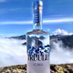 TRUULI PEAK VODKA (@truulipeakvodka) Twitter profile photo