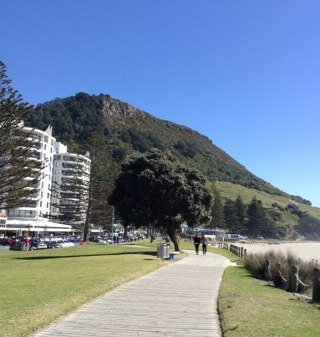 maunganui_links Profile Picture