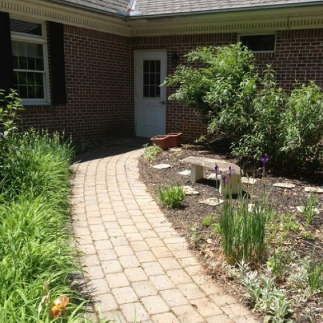 cngardenproject's profile picture. rebirth & regrowth, one flower at a time. @radical905, @juliannaheck, @jillvillany, @joshknox5, @mmazzucco45, & @rob_capps