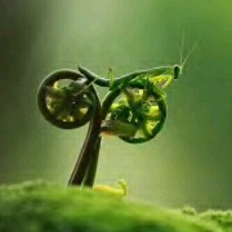 My name is donovan and I am now in charge of groenkloof nature reserve services..I have 9 years experience as a bike mechanic!check for our services and clinics