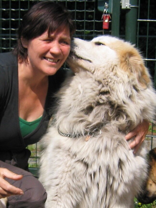 Bevlogen
Creatief
Reiki
Persoonlijk
Coach
Inspirerend