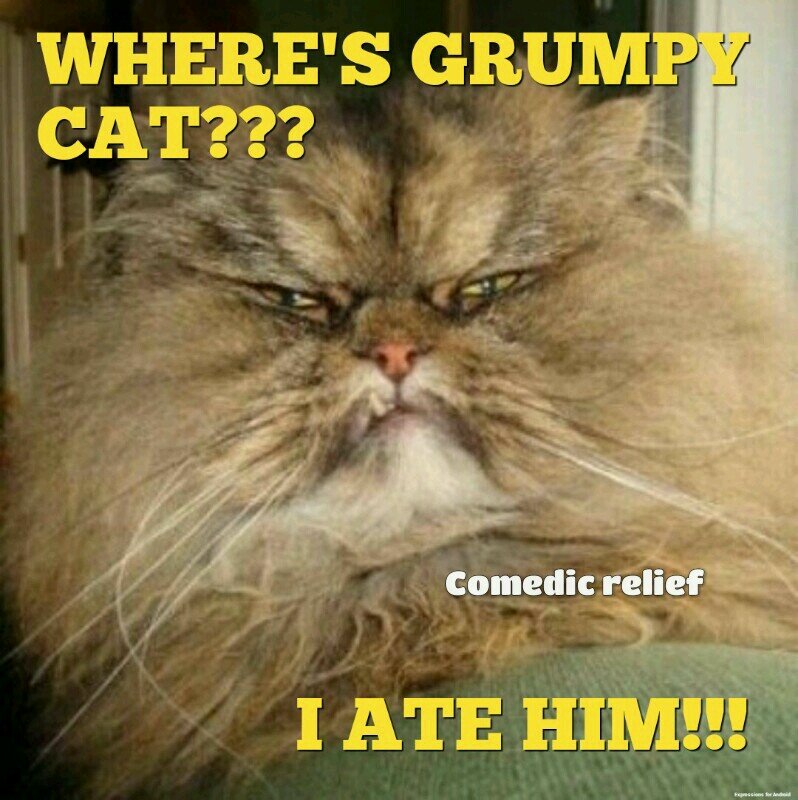 I came over to Twitter from Facebook. Was sick of Hitler I mean Zuckerburg's natzi regime. Be warned. You WILL laugh here!