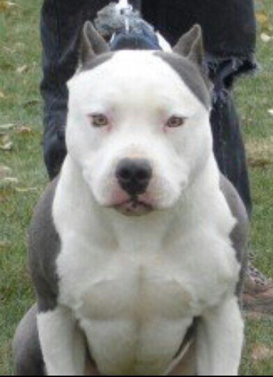 seatleon1m's profile picture. 