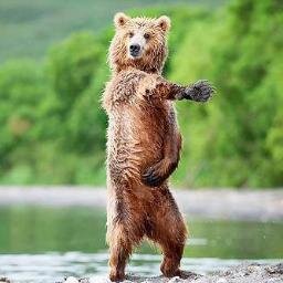 趣味はＦＸ💹 為替レートの波に乗って、ときどき溺れかけながらも前進中！XMトレーディングの魅力を探求するブログ運営中です。
海外ニュースは私の朝食☕️📰 
#海外FX #世界経済 #為替 #おせち ＃かに #脱毛 #引越し
