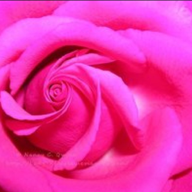 MakiK0529's profile picture. 映画の仕事してます。                    猫と、とうさん🐈‍⬛🐈