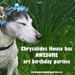 Art & Magic School, Gallery & Birthday Hub. We throw the best all-inclusive #birthdays!  K-W’s coolest new Art Hub! Division of http://t.co/EXle2XRxto