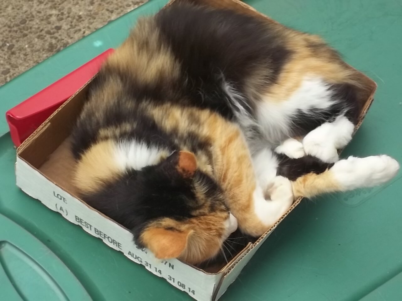 mom of 3