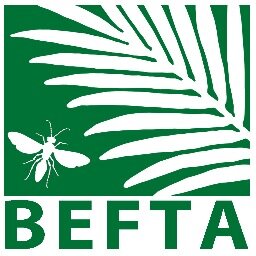 BEFTA Programme Profile