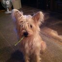 debbie strickland - @meme_debbie - Twitter