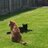 MichelleTalbot5's profile image