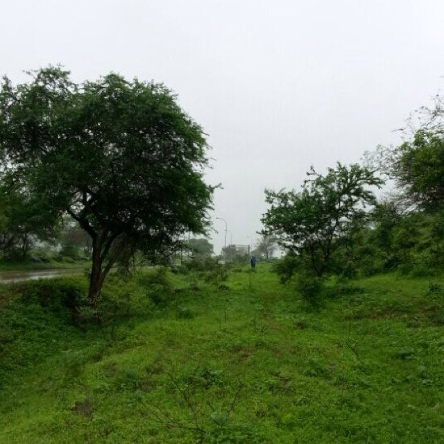 Ail1388's profile picture. 