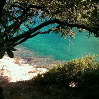 núria giró (@nuria_gima) 's Twitter Profile