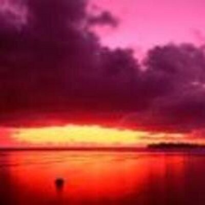 赤い海 Tweet Ocean R Twitter