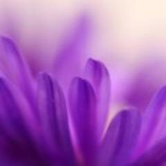 jan200406's profile picture. 